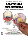 Anatomia człowieka. Atlas do kolorowania - tantis.pl