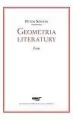 Geometria literatury. Esej - tantis.pl