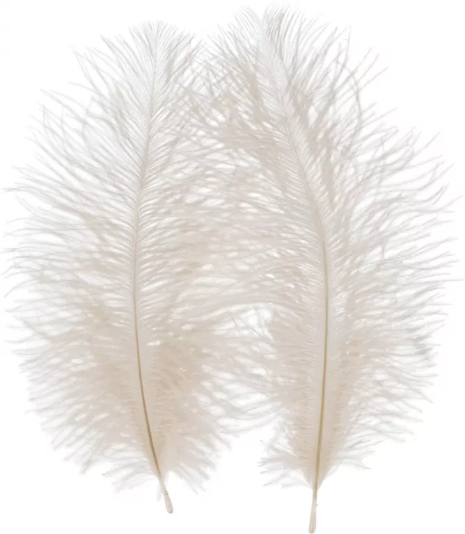 OZDOBA PIORKA 15-20CM 2SZT BIALE CF 12/864 - tantis.pl