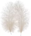 OZDOBA PIORKA 15-20CM 2SZT BIALE CF 12/864 - tantis.pl