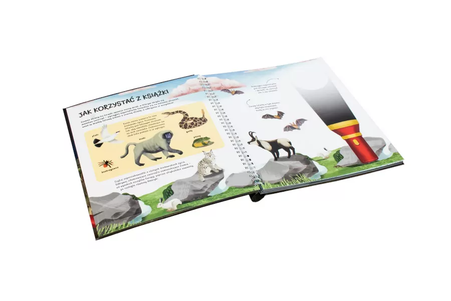 Zwierzęta nocą. Nocne safari z latarką w ręku - dla śmiałych odkrywców! - tantis.pl