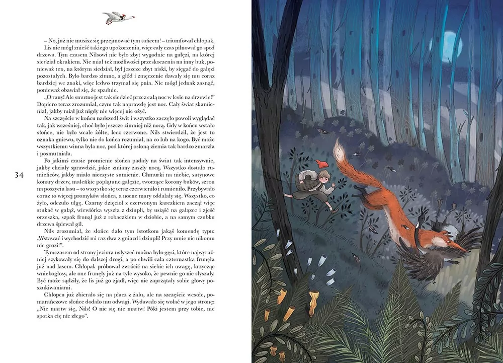 Cudowna podróż. Kolorowa klasyka - tantis.pl