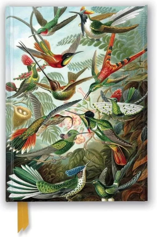 Notatnik A5 linia TW Kolibry Ernst Haeckel - tantis.pl