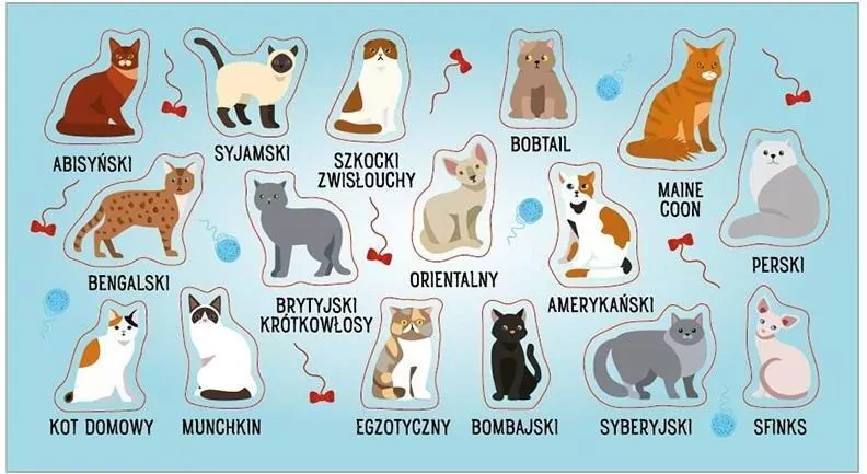 Naklejki Rasy kotów - tantis.pl