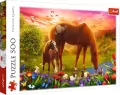 Konie na łące. Puzzle 500 elementów - tantis.pl