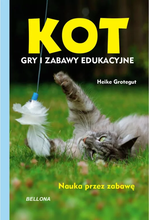 Kot. Gry i zabawy edukacyjne - tantis.pl