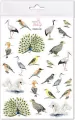 Naklejki Ptaki 2 - tantis.pl