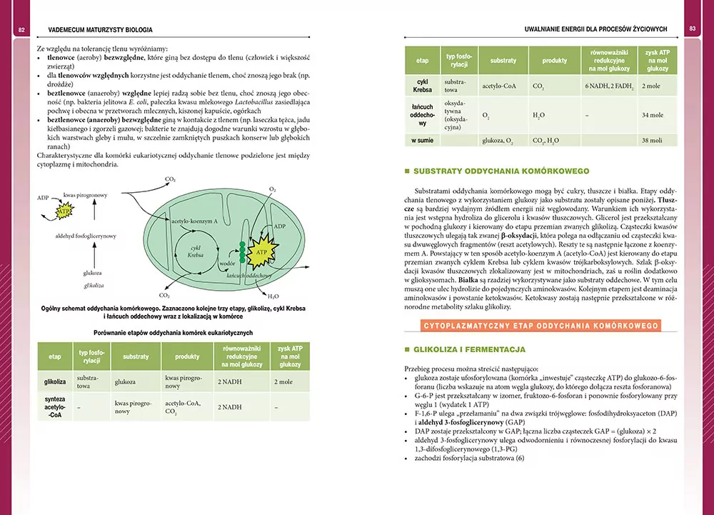 Matura. Biologia. Vademecum - tantis.pl