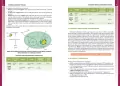 Matura. Biologia. Vademecum - tantis.pl