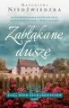 Zabłąkane dusze. Saga rodu Deynarowiczów. Tom 3 - tantis.pl