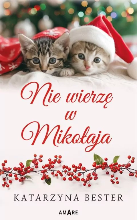 Nie wierzę w Mikołaja - tantis.pl