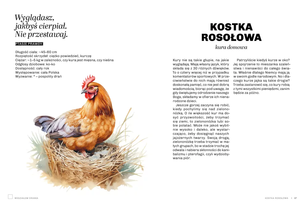 Głupie ptaki Polski. Przewodnik świadomego obserwatora - tantis.pl