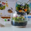 Harry Potter. Terrarium. 19248 - tantis.pl
