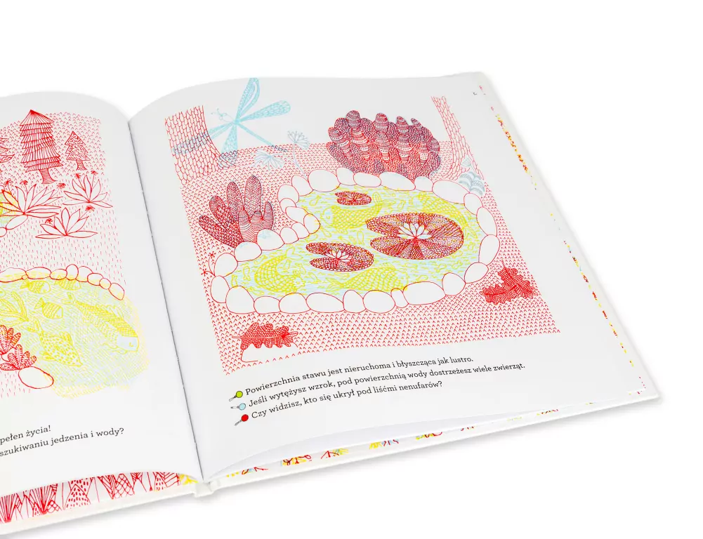 Co kryje las? - tantis.pl