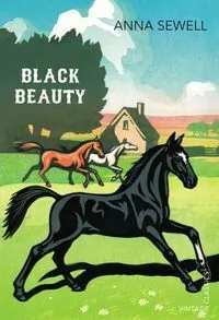 Black Beauty - tantis.pl