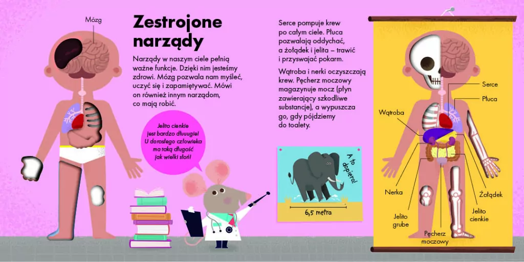 Jak to działa? Ciało. WILGA - tantis.pl