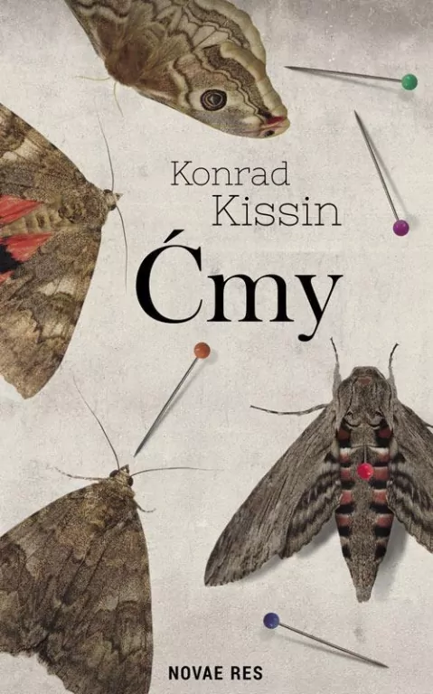 Ćmy - tantis.pl