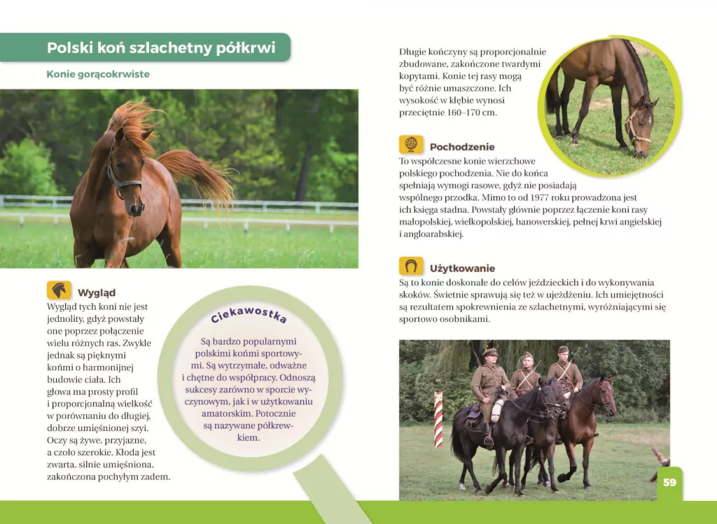 Jaki to koń? Atlas dla dzieci - tantis.pl