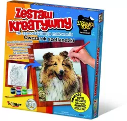 Zestaw kreatywny. Owczarek Szetlandzki
