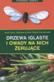 Drzewa iglaste i owady na nich żerujące. Poradnik leśnika - tantis.pl