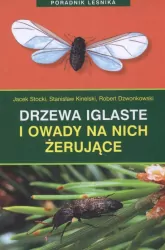 Drzewa iglaste i owady na nich żerujące. Poradnik leśnika