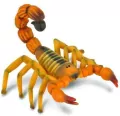 Skorpion - tantis.pl