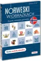 Norweski w obrazkach. Słownik, rozmówki, gramatyka - tantis.pl