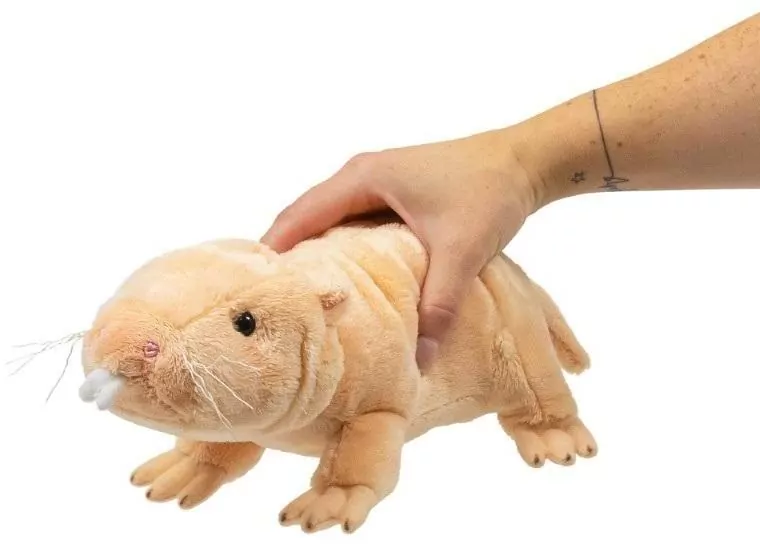 Pluszowy Golec Piaskowy - tantis.pl