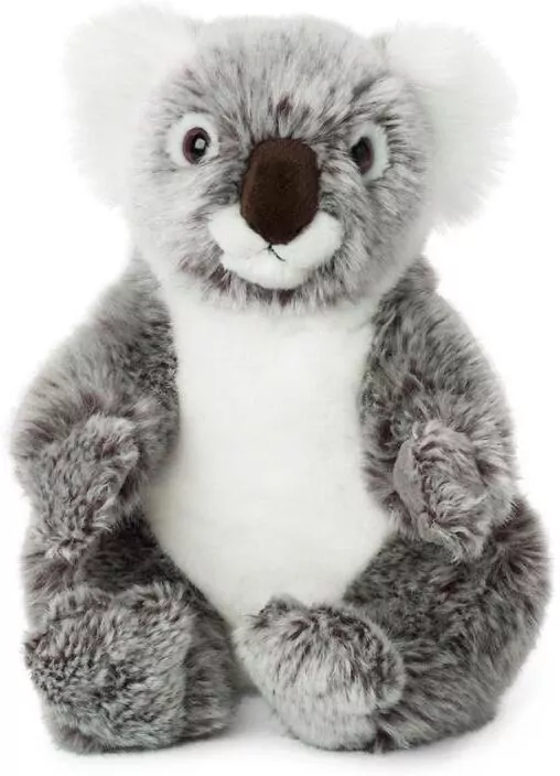 Koala 22cm WWF - tantis.pl