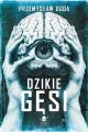 Dzikie gęsi - tantis.pl