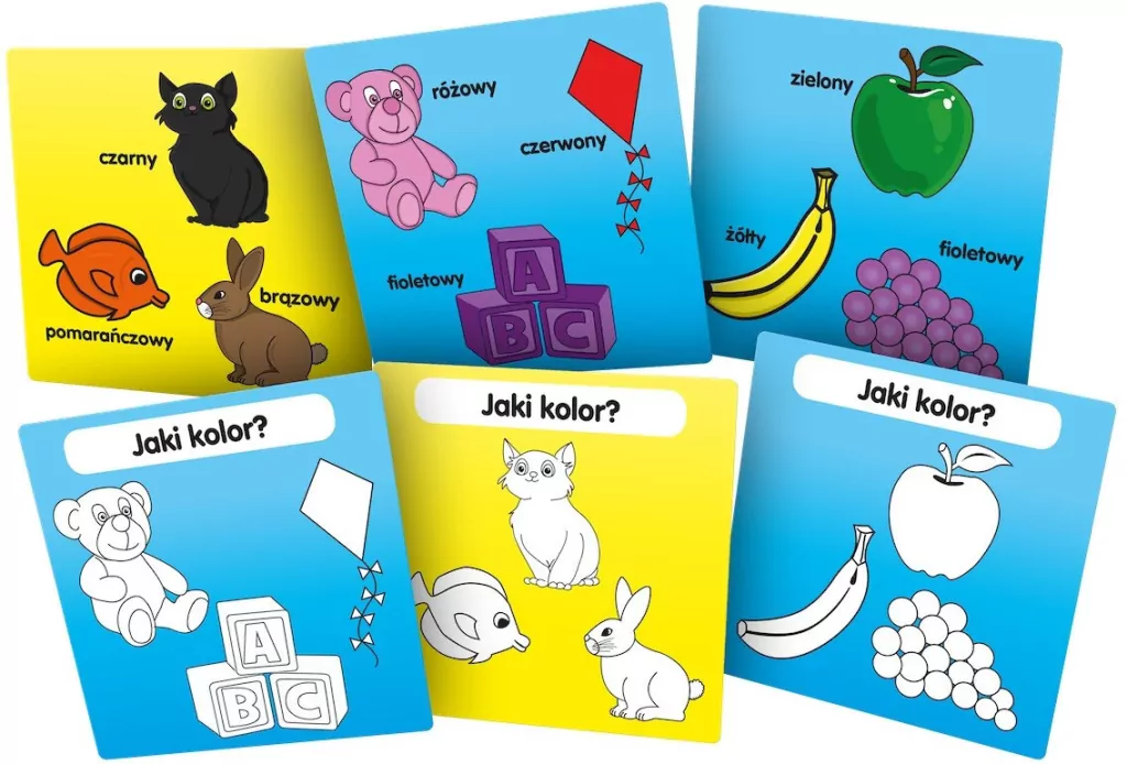 Poznaję kolory. BrainBox - tantis.pl