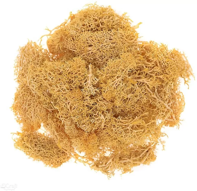Mech ochrowy 30g - tantis.pl