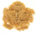 Mech ochrowy 30g - tantis.pl