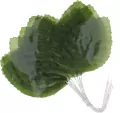 Listki dekoracyjne 5,5cm - tantis.pl