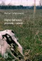 Zagraj najlepszą piosenkę i odejdź - tantis.pl