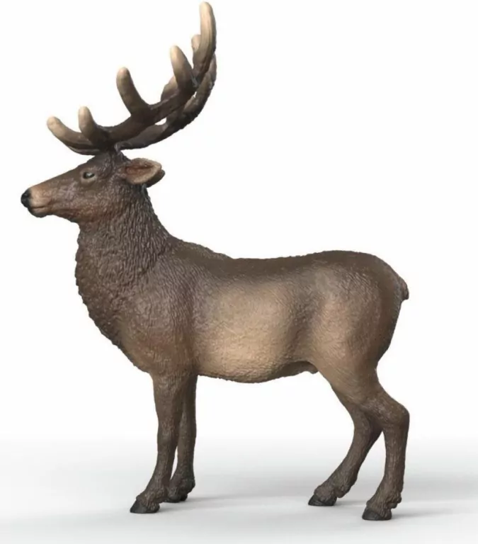 Łoś - tantis.pl