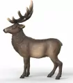 Łoś - tantis.pl