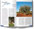 Chorwacja. Istria, Cres, Lośinj i Zagrzeb - tantis.pl