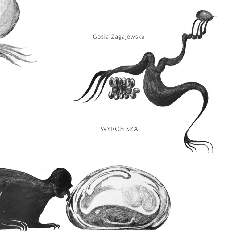 Wyrobiska - tantis.pl