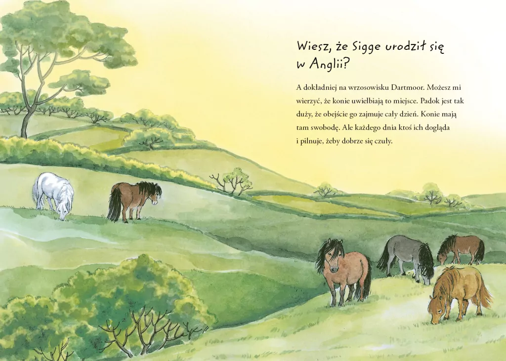 Sekretnik Sigge - tantis.pl