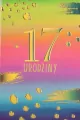 Karnet Urodziny 17 HM200-3196 - tantis.pl
