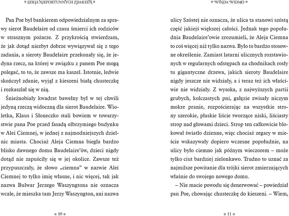Winda widmo. Seria niefortunnych zdarzeń. Tom 6 - tantis.pl