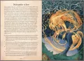 Magiczne zawody. Kowal, czarodziej, alchemik - tantis.pl