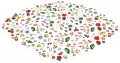 Dobble Animal Crossing REBEL - tantis.pl