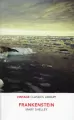 Frankenstein - tantis.pl