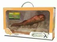 Dunkleosteus. Deluxe - tantis.pl