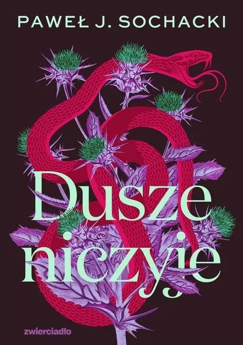 Dusze niczyje DL - tantis.pl