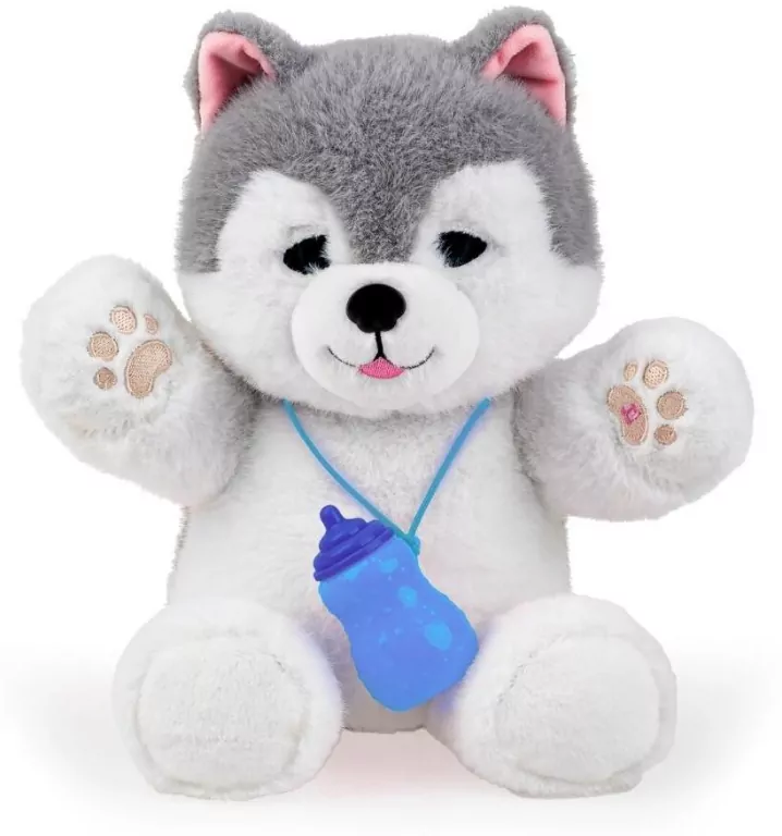 Piesek husky - tantis.pl