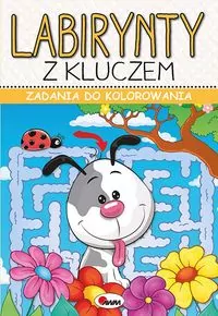 Labirynty z kluczem. Zadania do kolorowania - tantis.pl