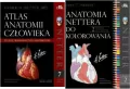 Pakiet: Netter. Atlas anatomii człowieka. Polskie mianownictwo anatomiczne / Anatomia Nettera do kolorowania - tantis.pl